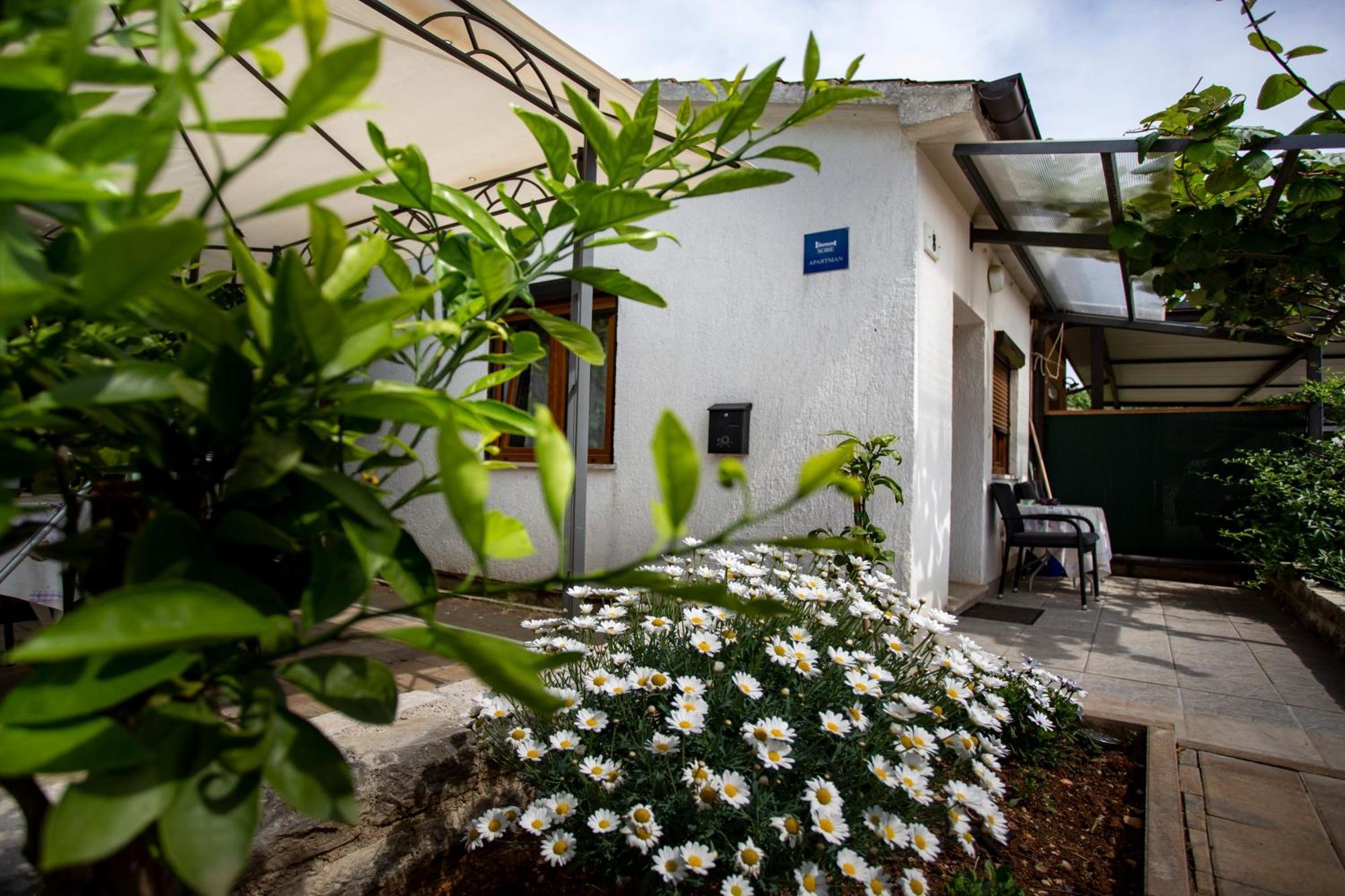 Apartments Ina & Ika Rovinj Dış mekan fotoğraf