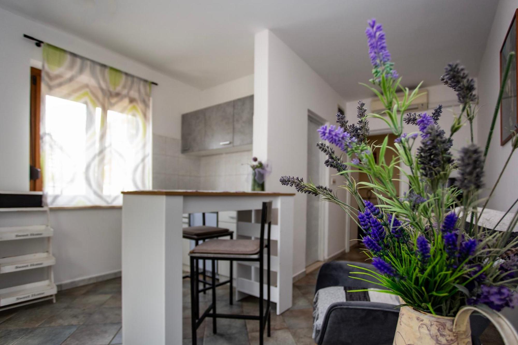 Apartments Ina & Ika Rovinj Dış mekan fotoğraf